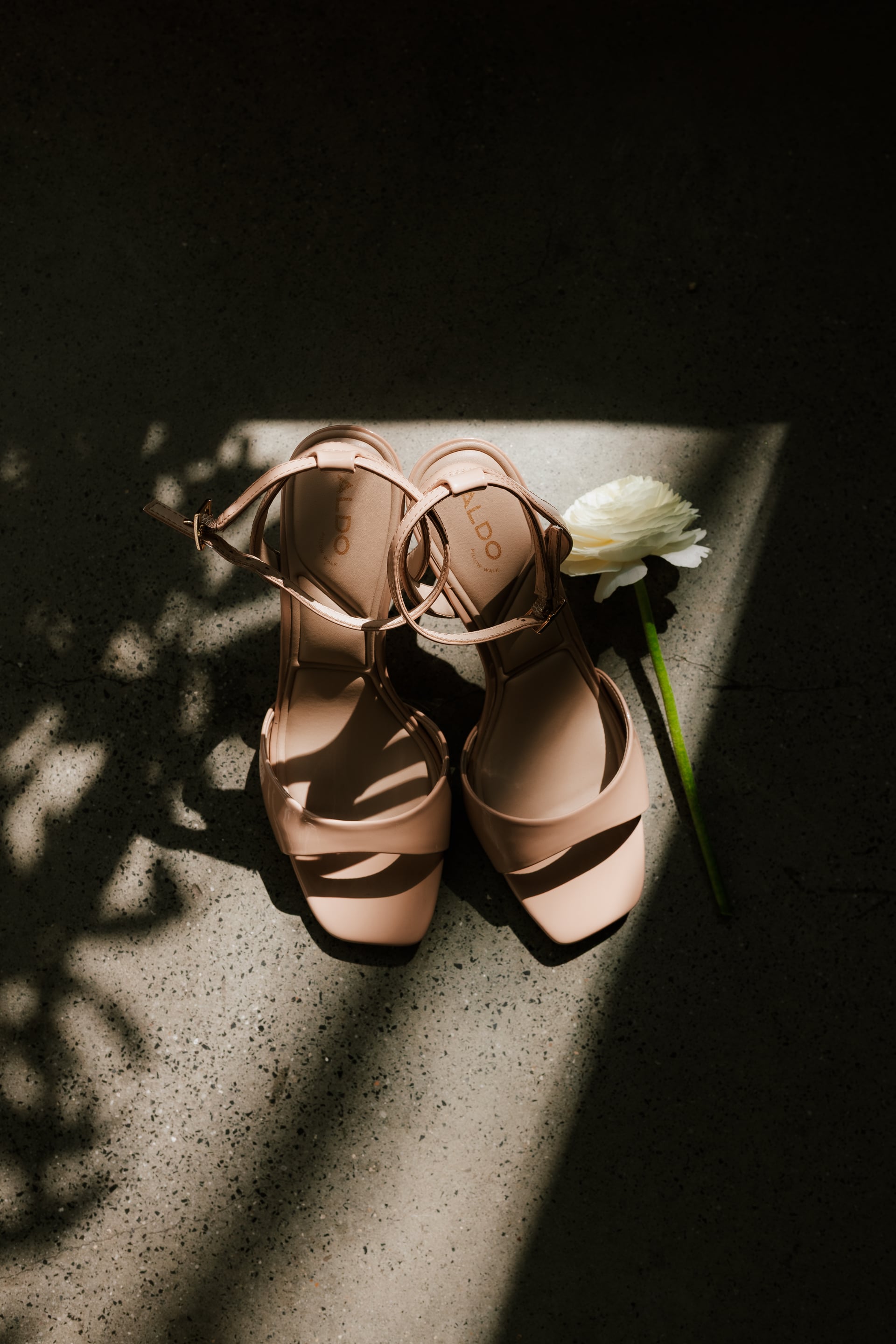 Detail svadobných topánok — nude remienkové sandále s bielou ranunkulou na betónovej podlahe v ostrom slnečnom lúči s tieňmi listov