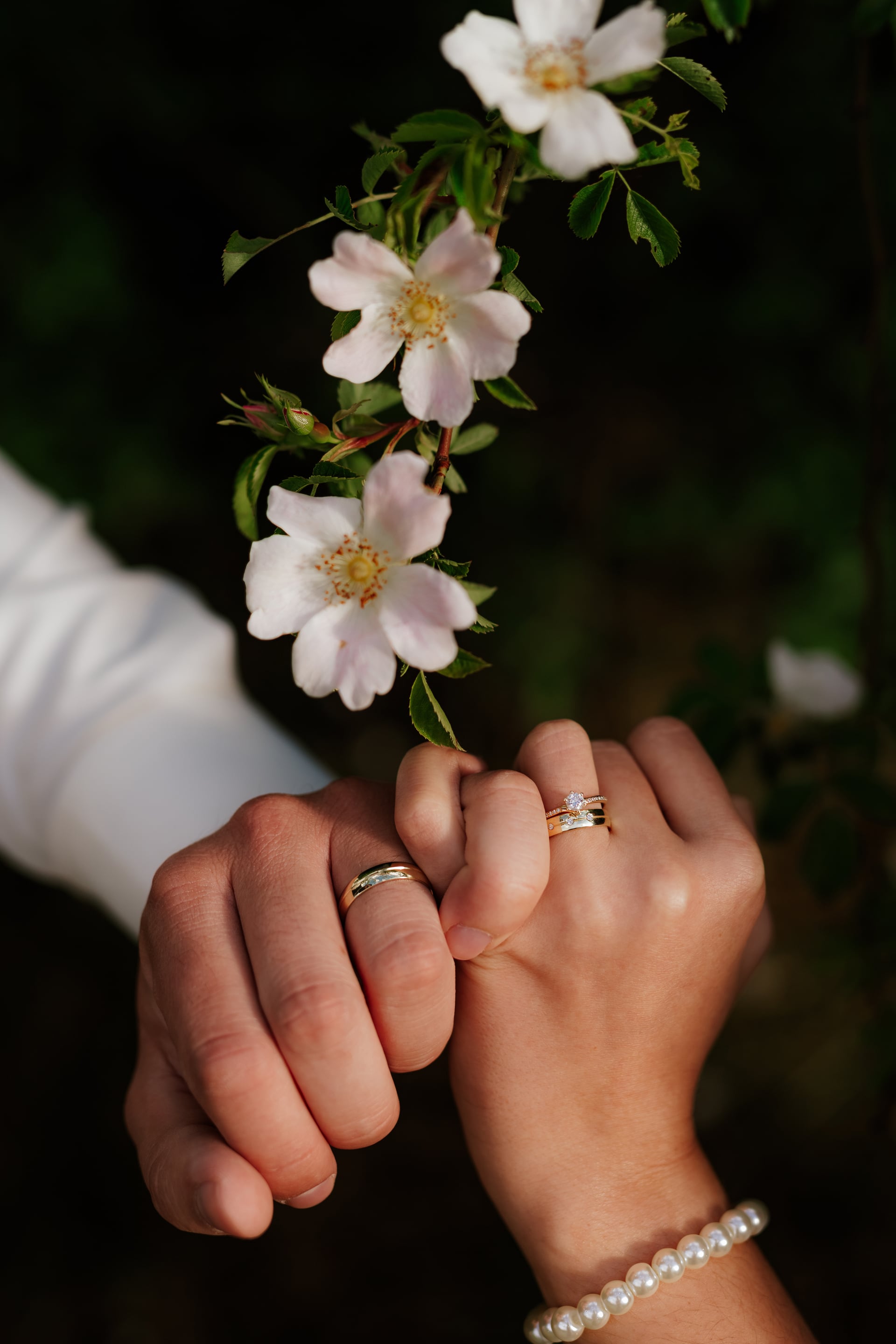 Detail prepletených rúk — ženíchova obrúčka, nevestina obrúčka so zásnubným prsteňom a perlový náramok pod kvetmi šípkovej ruže v teplom svetle